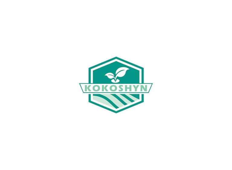 Kokoshyn Logo