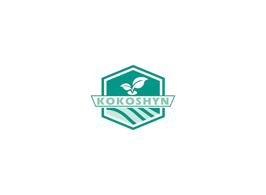 Kokoshyn Logo